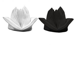 Color Napkins width=
